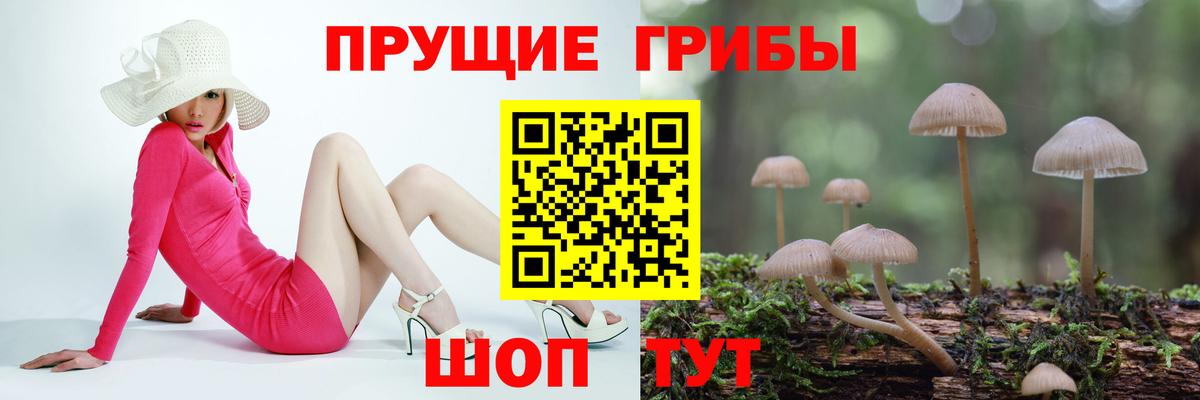 дарнет шоп  Вход с VPN  Красноармейск  Галлюциногенные грибы прущие грибы  Псилоцибиновые грибы GOLDEN TEACHER 
